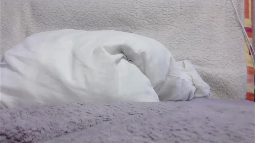 lenorrr Live Sex February 24, 2026