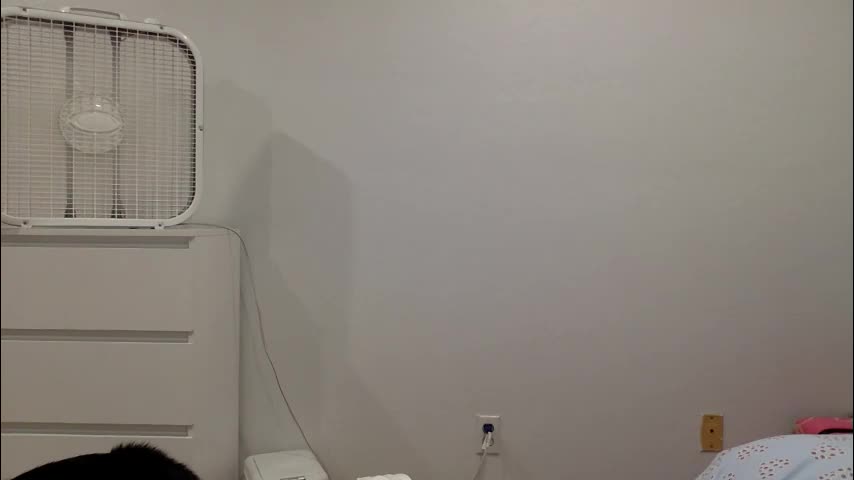 soulmatesxoo34 Live Sex February 24, 2026