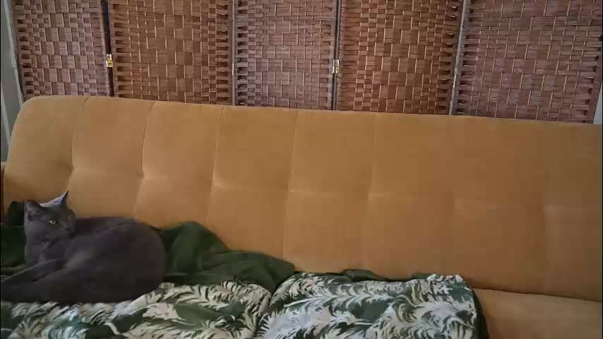 lilithoftrees Live Sex February 24, 2026