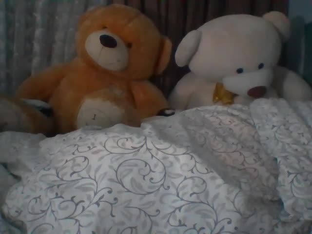 CassieStefana Live Sex February 24, 2026