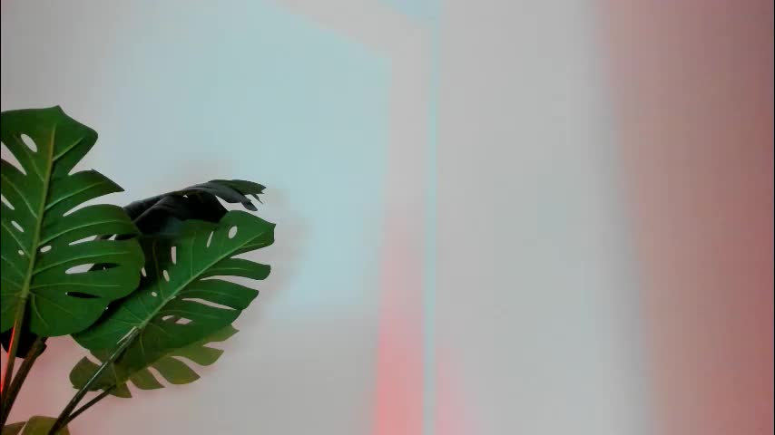 ashllovee_ Live Sex February 25, 2026