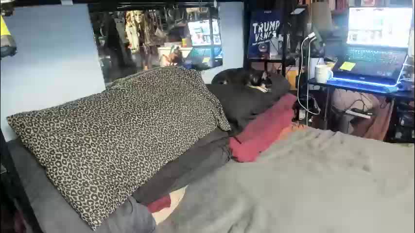 pink_black Live Sex February 25, 2026