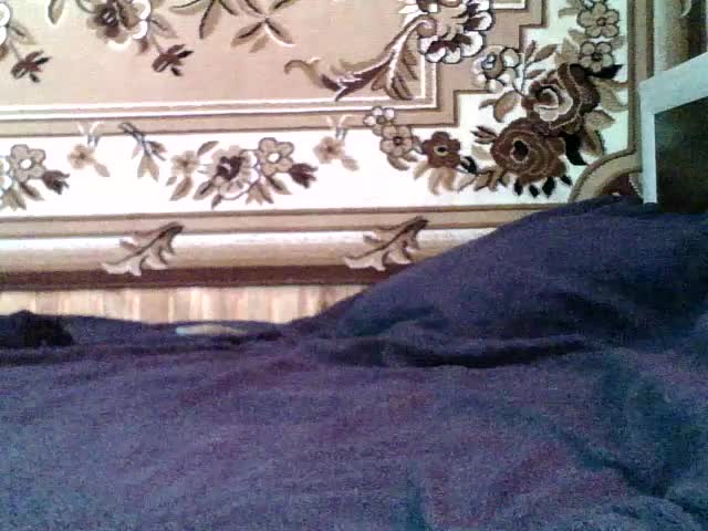 Viktoriia21 Live Sex February 25, 2026