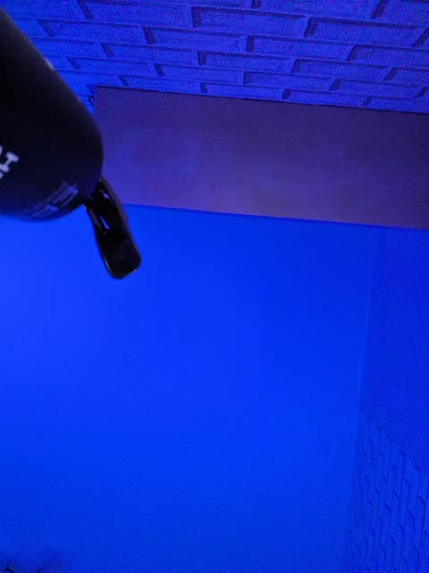 GORIGLAZ Live Sex February 26, 2026