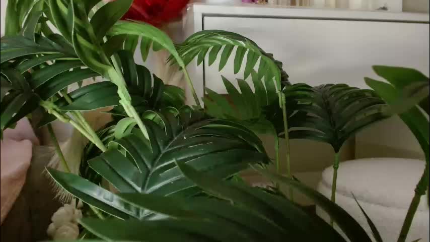 imcarrieberry Live Sex February 26, 2026