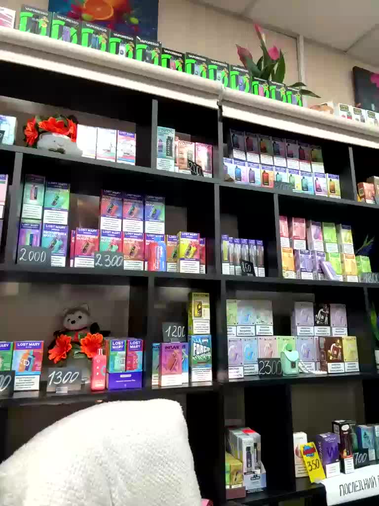 sofiedvige Live Sex February 27, 2026