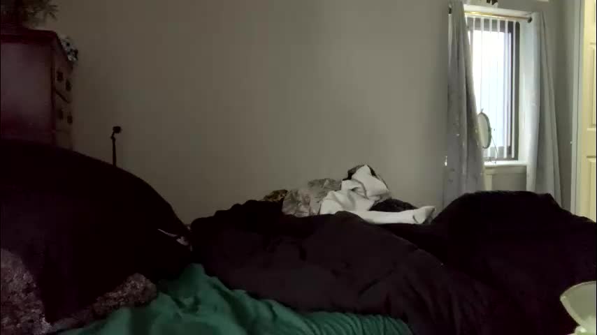 intothewoodswego Live Sex February 28, 2026