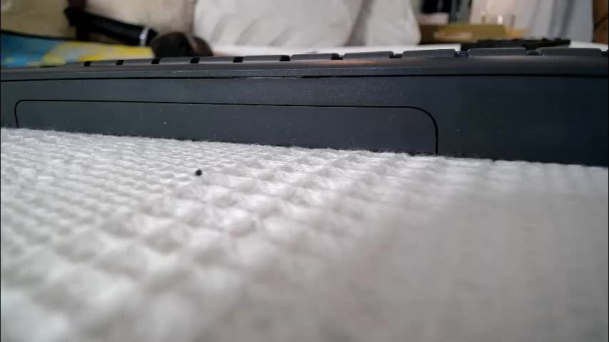 roseevansx Live Sex February 28, 2026