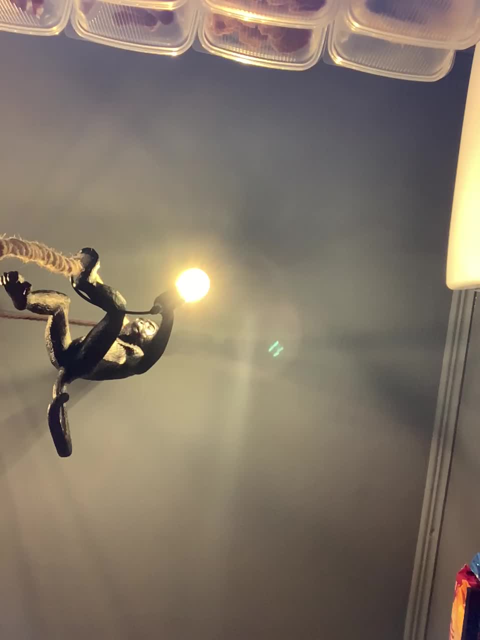 Yummypopka Live Sex February 28, 2026