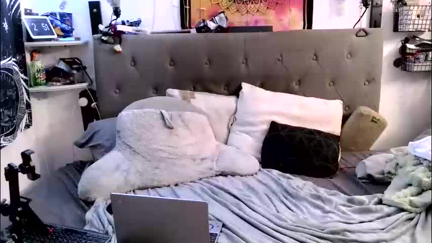 itscandibtch6969 Live Sex March 1, 2026