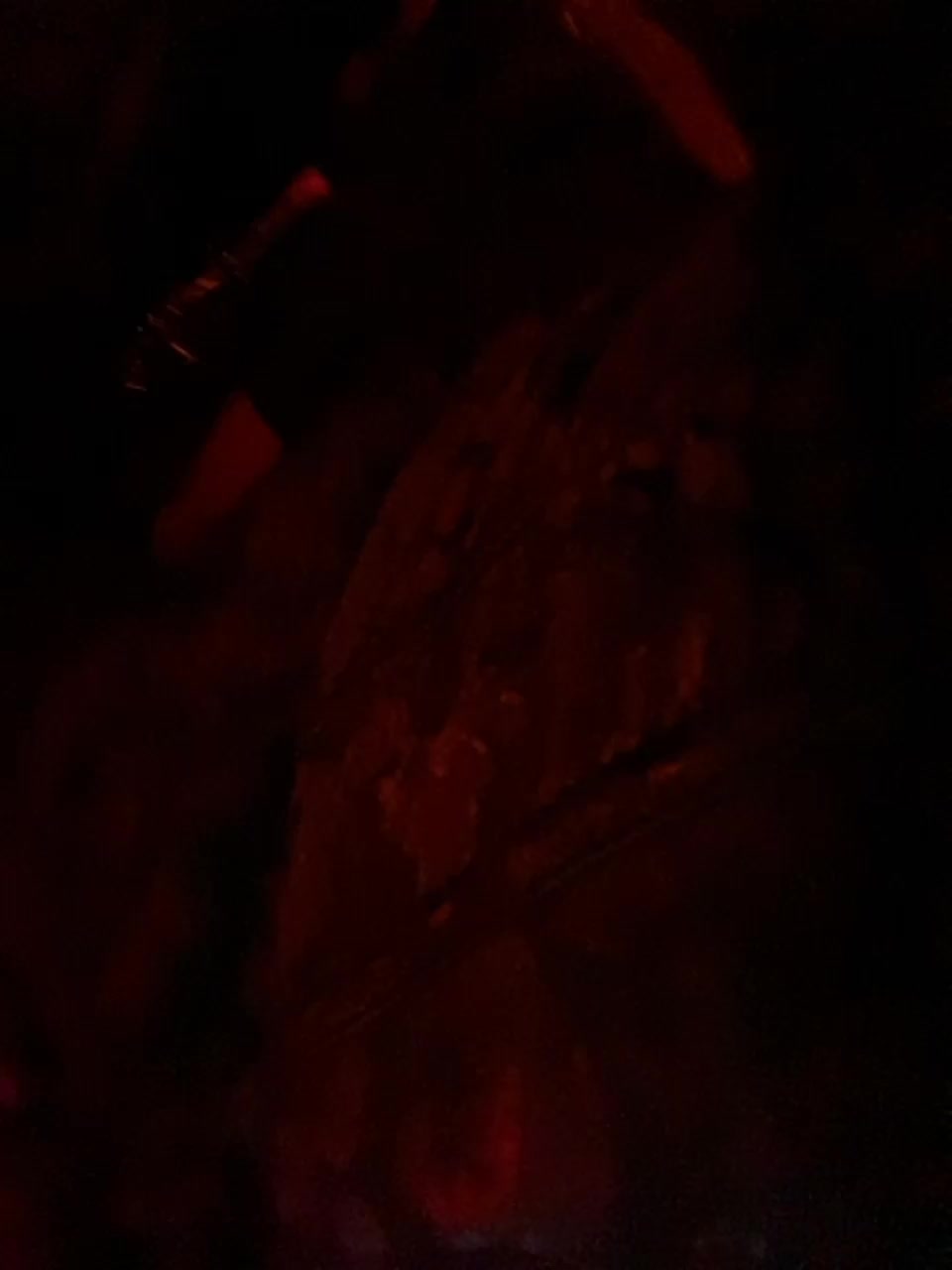 Lisa1225 Live Sex March 1, 2026