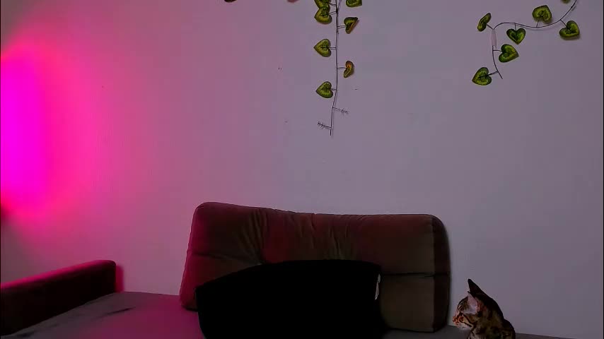 ladytrep Live Sex March 1, 2026