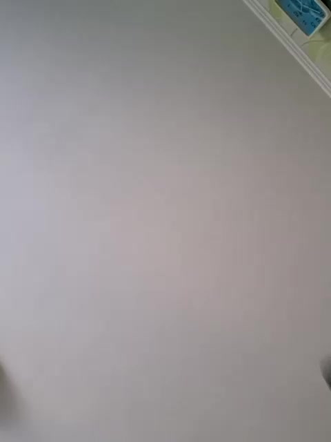 Mishellca Live Sex March 1, 2026