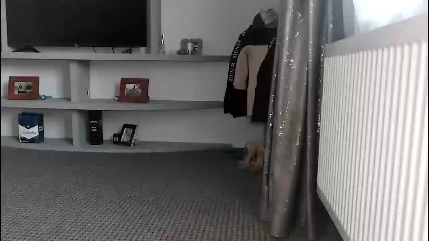 crazybrenda89 Live Sex March 2, 2026