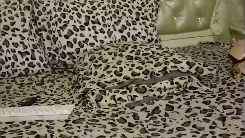 carmellaangel Live Sex March 2, 2026