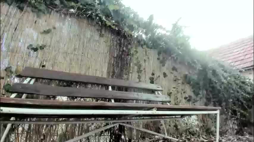 tymika Live Sex March 2, 2026