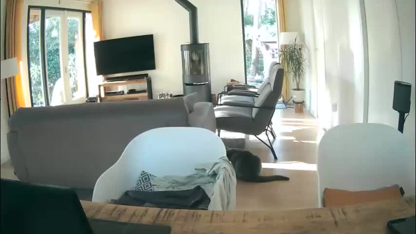 woodwurm Live Sex March 3, 2026