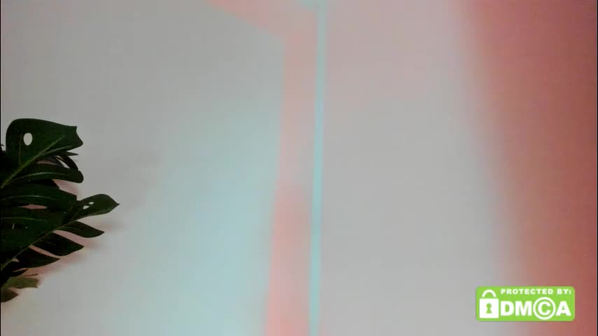 ashllovee_ Live Sex March 3, 2026