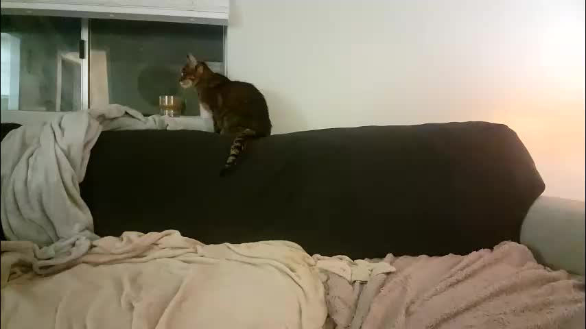 goddessmayvn Live Sex March 3, 2026