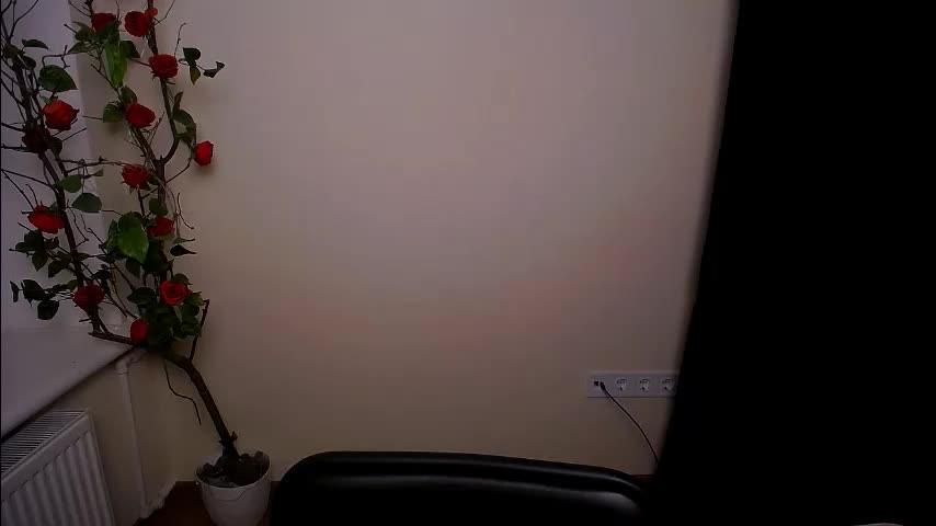 bunnybloom_ Live Sex March 4, 2026