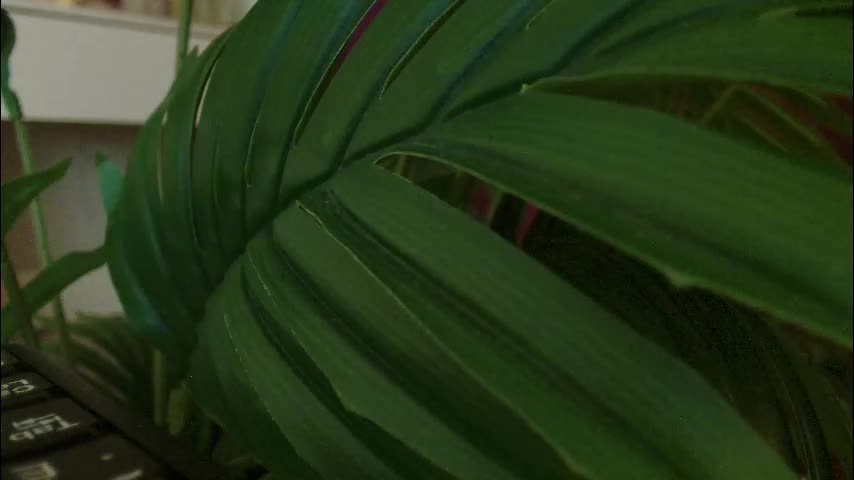 imcarrieberry Live Sex March 4, 2026