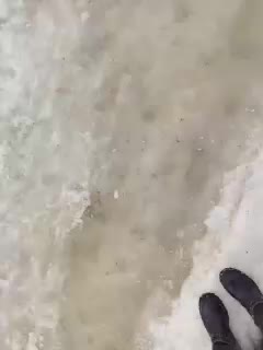 RelishSavor Live Sex March 5, 2026