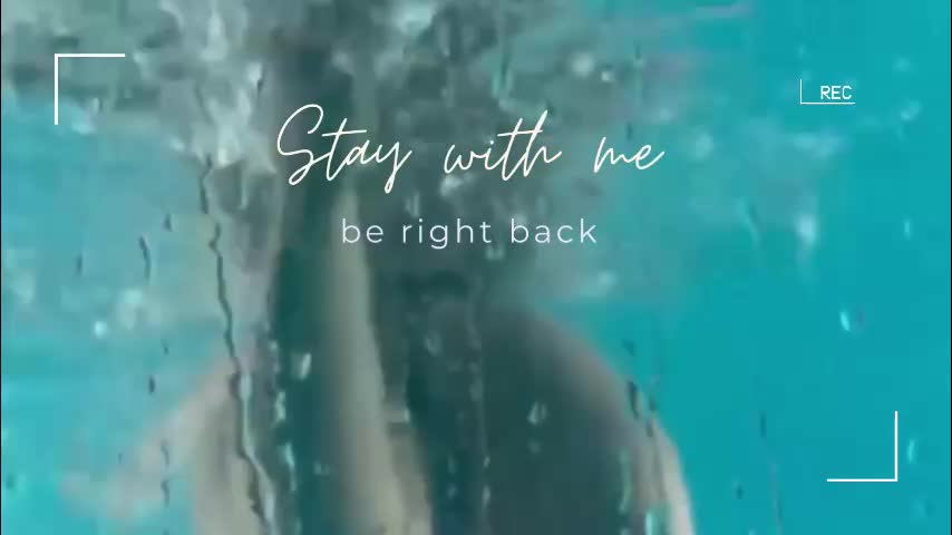 lily_foster_ Live Sex March 5, 2026