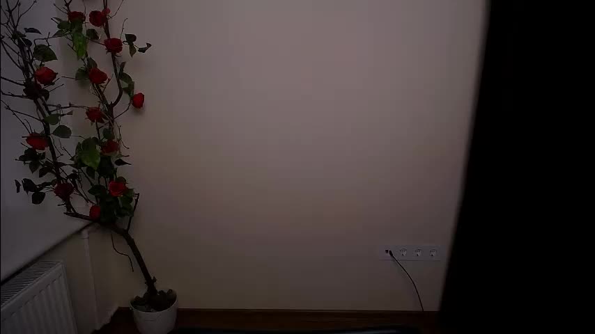 bunnybloom_ Live Sex March 5, 2026