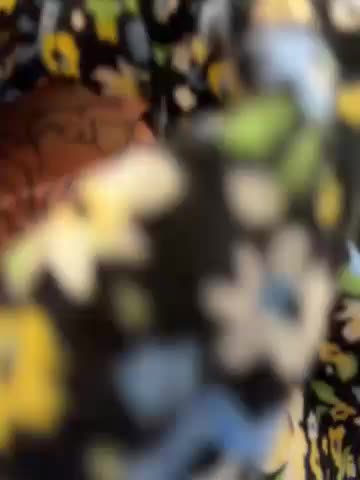 MiraReach Live Sex March 5, 2026