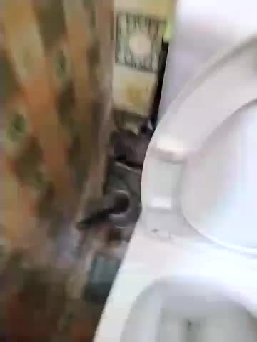 Holly-69 Live Sex March 5, 2026