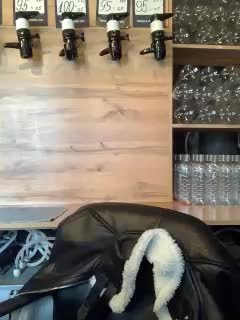 Yummypopka Live Sex March 6, 2026