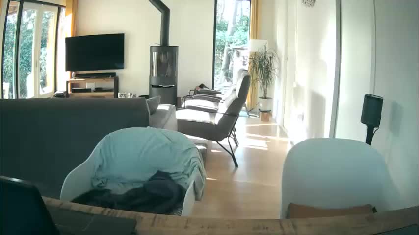 woodwurm Live Sex March 6, 2026