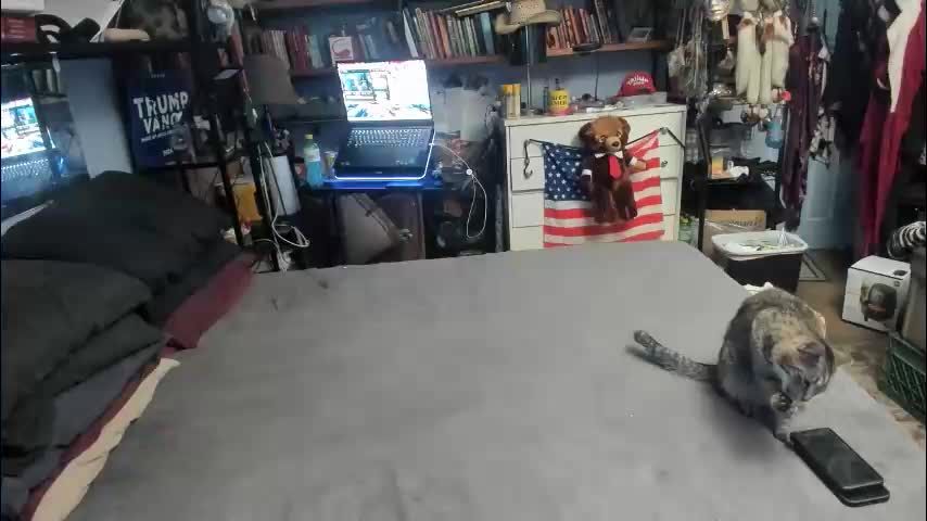 pink_black Live Sex March 8, 2026