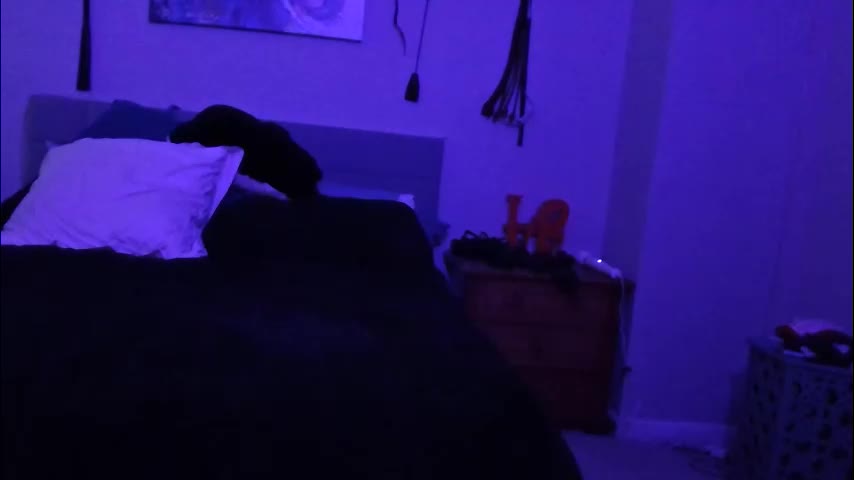 sexkittenfordaddy Live Sex March 8, 2026