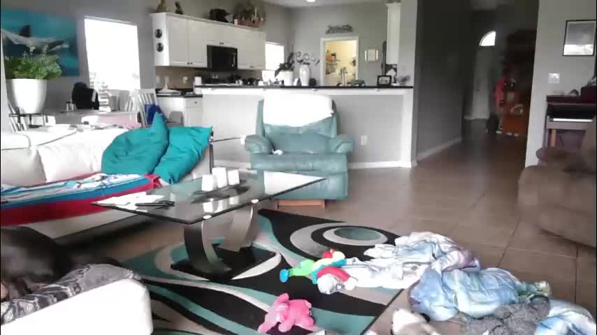 smallpenisbigtongue Live Sex March 9, 2026