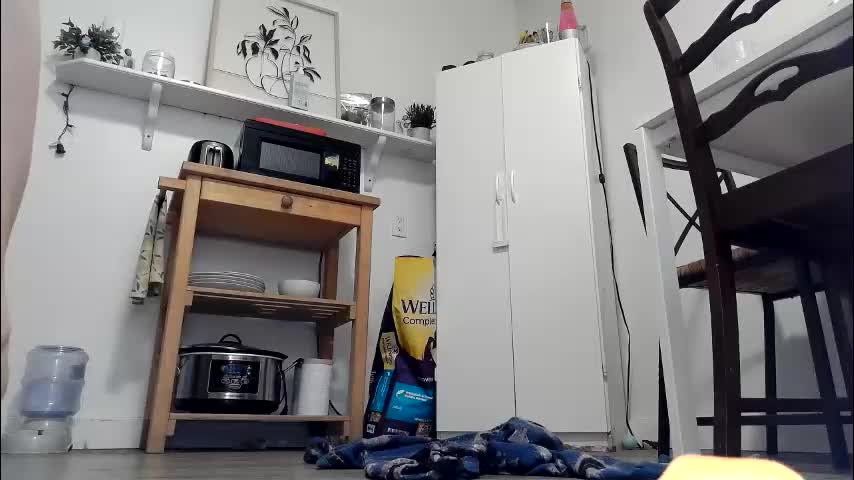 kittyymaze Live Sex March 9, 2026