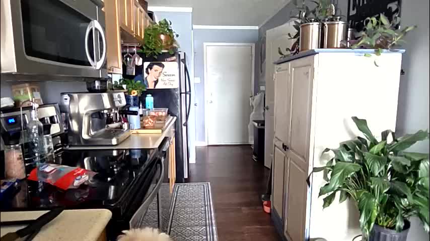 cheekymonkie Live Sex March 9, 2026