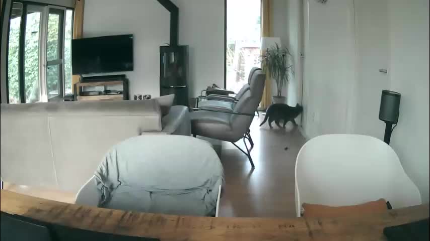 woodwurm Live Sex March 10, 2026