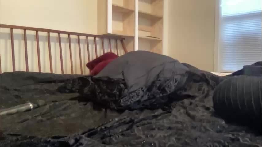 slopjob666 Live Sex March 11, 2026