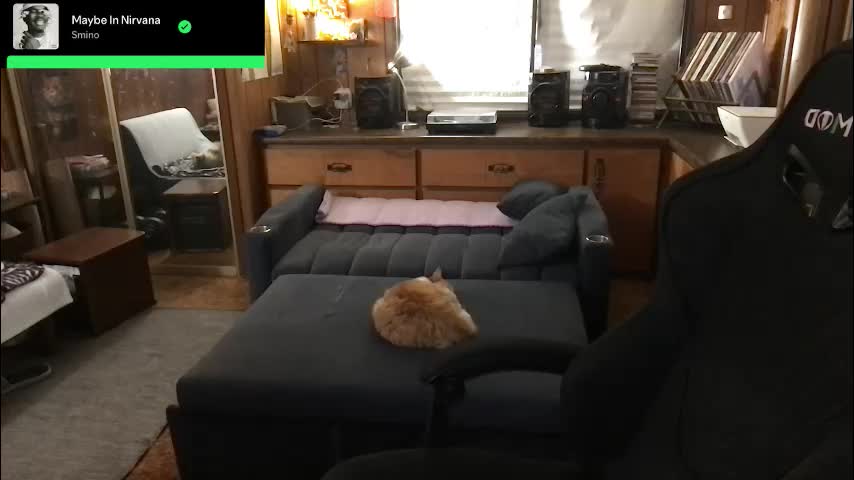 incognitoqueen Live Sex March 11, 2026