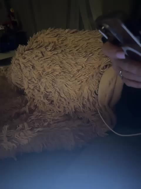 ParraTigroff Live Sex March 11, 2026