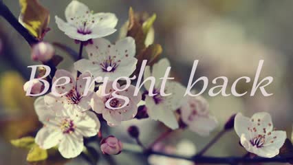 stressygirl Live Sex March 11, 2026