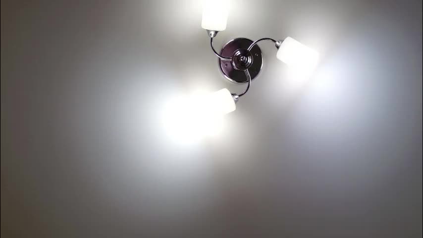 red_fox777 Live Sex March 11, 2026