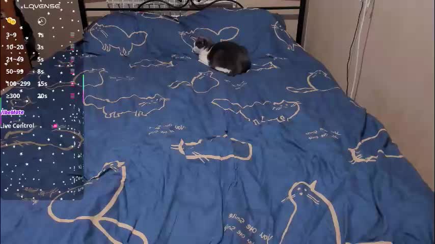 eva_zero Live Sex March 12, 2026