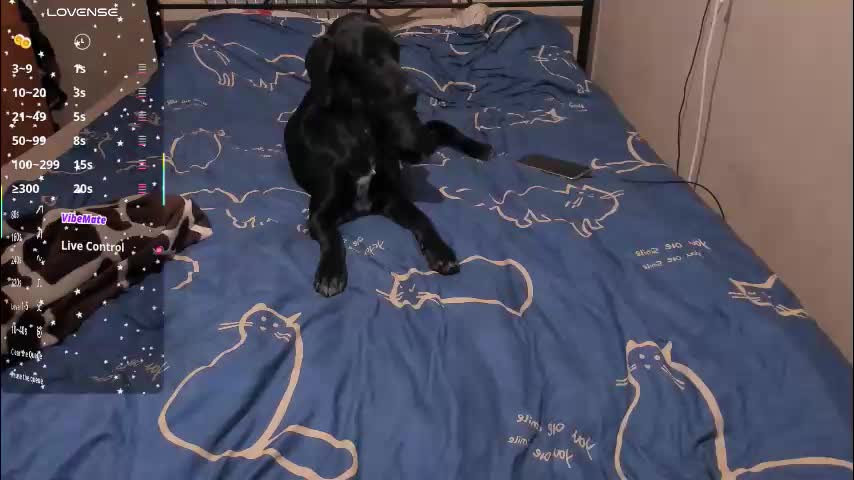 eva_zero Live Sex March 12, 2026