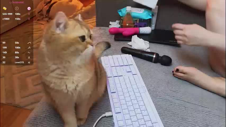 neli_elinek Live Sex March 12, 2026