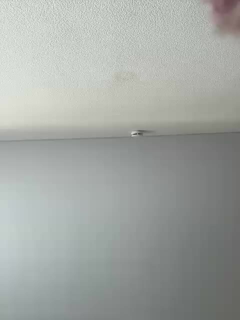 NotBellucci Live Sex March 13, 2026