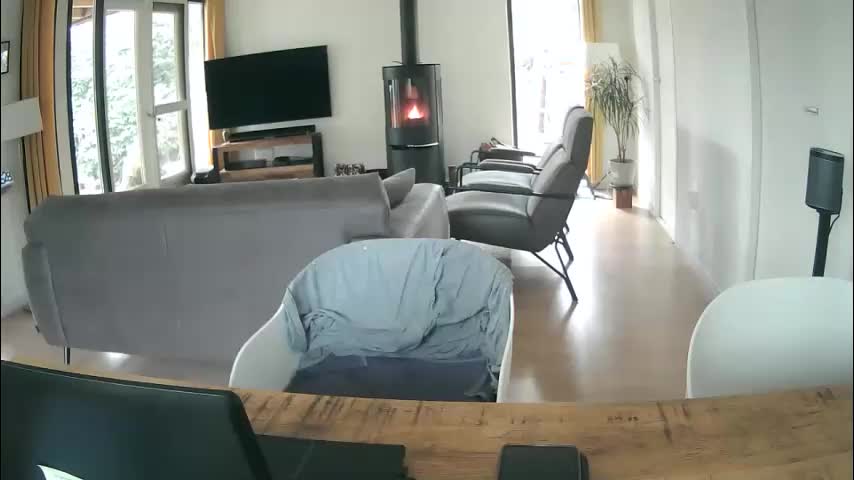 woodwurm Live Sex March 13, 2026