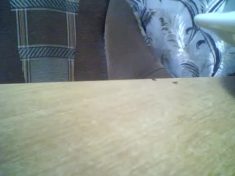 Luminara Live Sex March 14, 2026