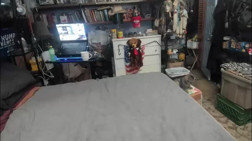 pink_black Live Sex March 15, 2026